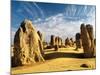 The Pinnacles-Robert Essel-Mounted Photographic Print