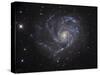 The Pinwheel Galaxy-Stocktrek Images-Stretched Canvas