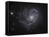 The Pinwheel Galaxy-Stocktrek Images-Framed Stretched Canvas