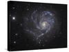 The Pinwheel Galaxy-Stocktrek Images-Stretched Canvas