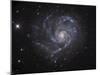 The Pinwheel Galaxy-Stocktrek Images-Mounted Photographic Print