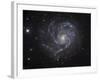 The Pinwheel Galaxy-Stocktrek Images-Framed Photographic Print