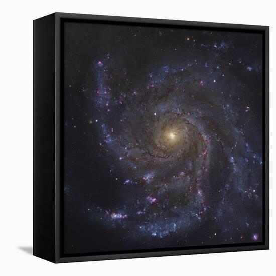 The Pinwheel Galaxy-Stocktrek Images-Framed Stretched Canvas