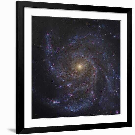 The Pinwheel Galaxy-Stocktrek Images-Framed Photographic Print