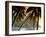 The Pitons, Soufriere, St. Lucia-null-Framed Premium Photographic Print