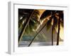 The Pitons, Soufriere, St. Lucia-null-Framed Premium Photographic Print