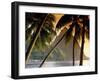 The Pitons, Soufriere, St. Lucia-null-Framed Photographic Print