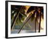 The Pitons, Soufriere, St. Lucia-null-Framed Photographic Print