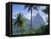 The Pitons, St. Lucia, Caribbean, West Indies-John Miller-Framed Stretched Canvas