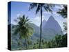 The Pitons, St. Lucia, Caribbean, West Indies-John Miller-Stretched Canvas