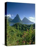 The Pitons, St.Lucia, Caribbean-John Miller-Stretched Canvas