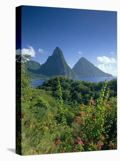 The Pitons, St.Lucia, Caribbean-John Miller-Stretched Canvas