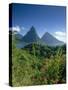 The Pitons, St.Lucia, Caribbean-John Miller-Stretched Canvas