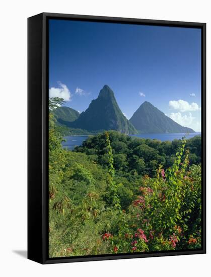 The Pitons, St.Lucia, Caribbean-John Miller-Framed Stretched Canvas