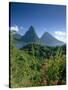 The Pitons, St.Lucia, Caribbean-John Miller-Stretched Canvas