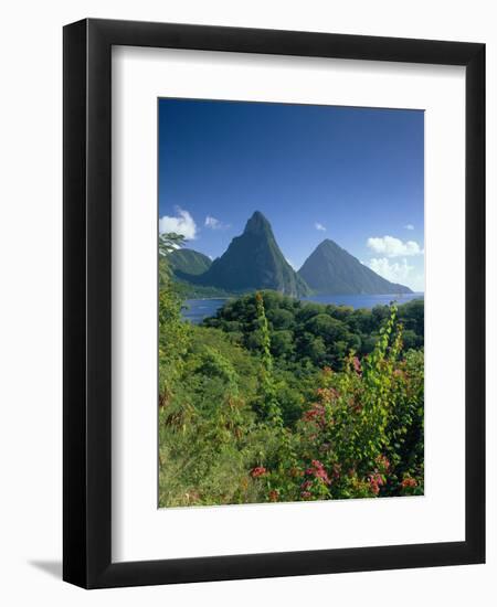 The Pitons, St.Lucia, Caribbean-John Miller-Framed Photographic Print