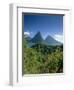 The Pitons, St.Lucia, Caribbean-John Miller-Framed Photographic Print