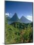 The Pitons, St.Lucia, Caribbean-John Miller-Mounted Photographic Print