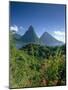 The Pitons, St.Lucia, Caribbean-John Miller-Mounted Photographic Print