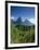 The Pitons, St.Lucia, Caribbean-John Miller-Framed Photographic Print