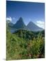 The Pitons, St.Lucia, Caribbean-John Miller-Mounted Photographic Print