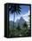 The Pitons, St. Lucia, Windward Islands, West Indies, Caribbean, Central America-null-Framed Stretched Canvas