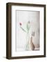 The pitter-patter of the rain-Delphine Devos-Framed Photographic Print