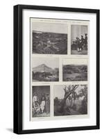 The Plague in Bombay, Views of the Town-null-Framed Giclee Print