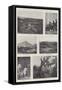 The Plague in Bombay, Views of the Town-null-Framed Stretched Canvas