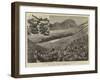 The Plague of Locusts in Southern India-null-Framed Giclee Print