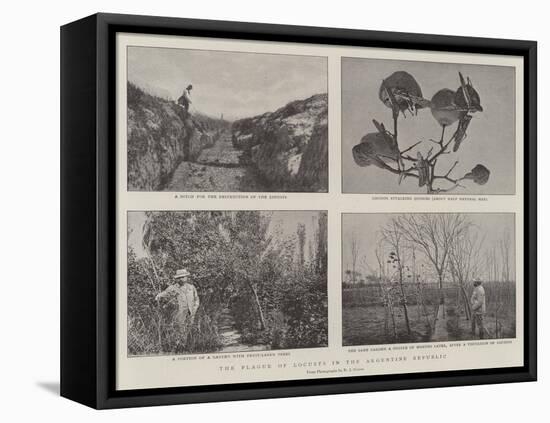 The Plague of Locusts in the Argentine Republic-null-Framed Stretched Canvas