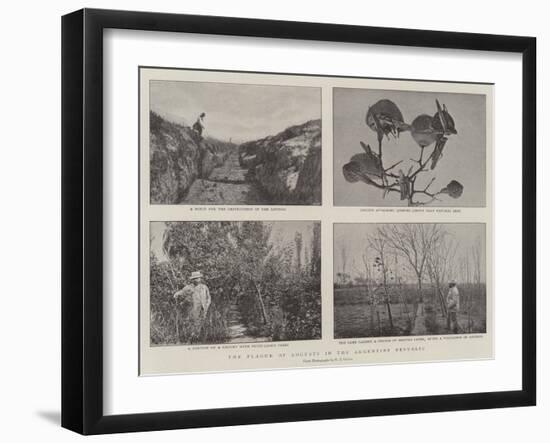 The Plague of Locusts in the Argentine Republic-null-Framed Giclee Print