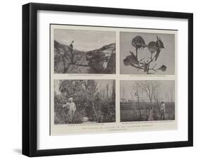 The Plague of Locusts in the Argentine Republic-null-Framed Giclee Print