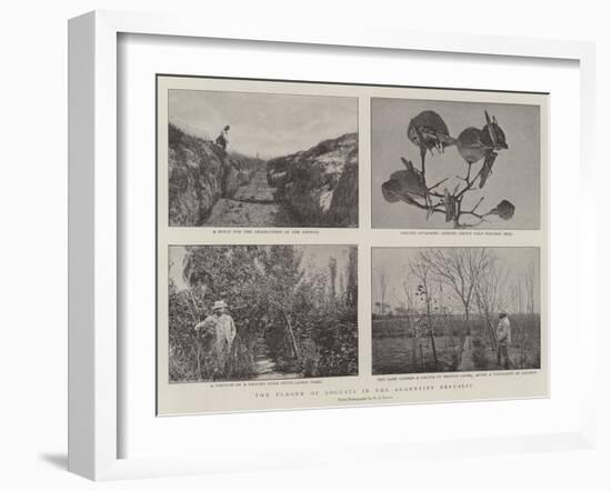 The Plague of Locusts in the Argentine Republic-null-Framed Giclee Print