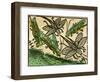 The Plague of Locusts, Published in the Nuremberg Chronicle, 1493-null-Framed Giclee Print