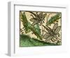 The Plague of Locusts, Published in the Nuremberg Chronicle, 1493-null-Framed Giclee Print