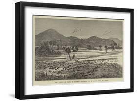 The Plague of Rats in Burmah, Invasion of a Karen Field of Grain-null-Framed Giclee Print