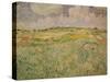 The Plain at Auvers, c.1890-Vincent van Gogh-Stretched Canvas