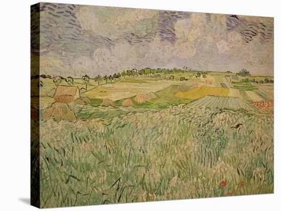 The Plain at Auvers, c.1890-Vincent van Gogh-Stretched Canvas