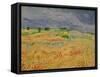 The Plain at Auvers, c.1890-Vincent van Gogh-Framed Stretched Canvas
