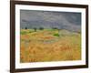 The Plain at Auvers, c.1890-Vincent van Gogh-Framed Giclee Print