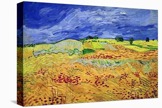 The Plain at Auvers, c.1890-Vincent van Gogh-Stretched Canvas
