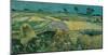 The Plain of Auvers-Vincent Van Gogh-Mounted Art Print