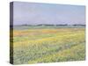 The Plain of Gennevilliers, Yellow Fields-Gustave Caillebotte-Stretched Canvas