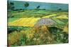 The Plains at Auvers-Vincent van Gogh-Stretched Canvas