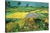 The Plains at Auvers-Vincent van Gogh-Stretched Canvas