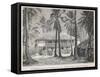 The Plantation House at Port- Au-Prince-null-Framed Stretched Canvas