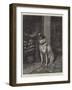 The Pleasures of Hope-null-Framed Giclee Print