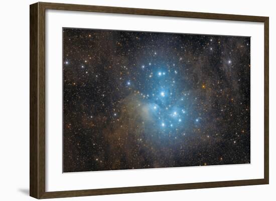 The Pleiades, an Open Star Cluster in the Constellation of Taurus-null-Framed Photographic Print