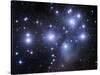 The Pleiades-Stocktrek Images-Stretched Canvas